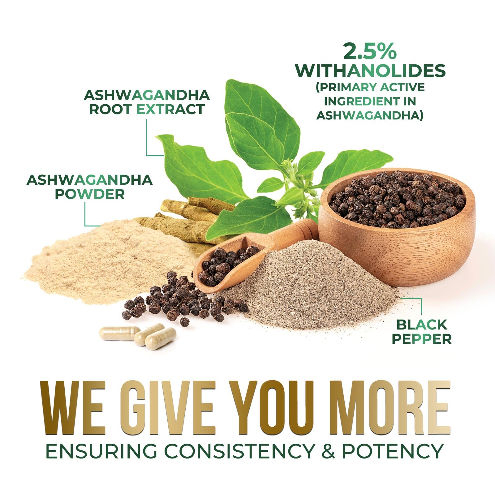Extrait de racine d'ashwagandha soulignant les antioxydants naturels.