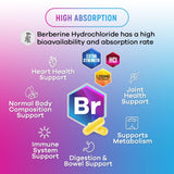 Nature's Nutrition Berberine HCL, graphique d'absorption illustrant l'efficacité