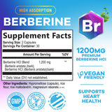 Nature's Nutrition Berberine HCL, capsules végétales prêtes à être prises