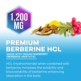 Nature's Nutrition Berberine HCL, fabrication aux États‑Unis pour la traçabilité