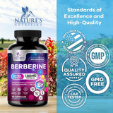 Nature's Nutrition Berberine HCL, gélules végétales visibles dans un flacon