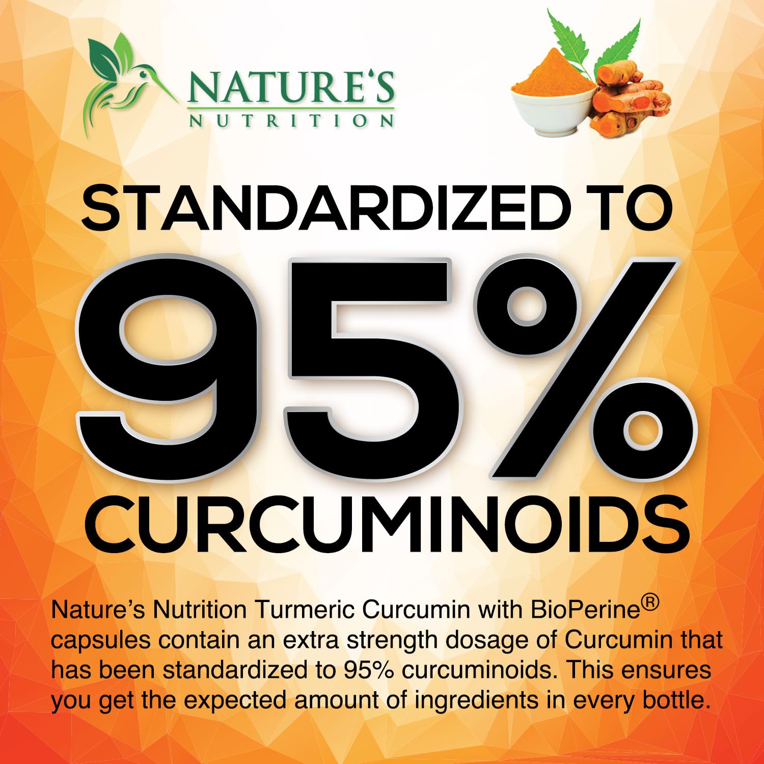 Nature's Nutrition BioPerine extrait poivre noir pour meilleure absorption