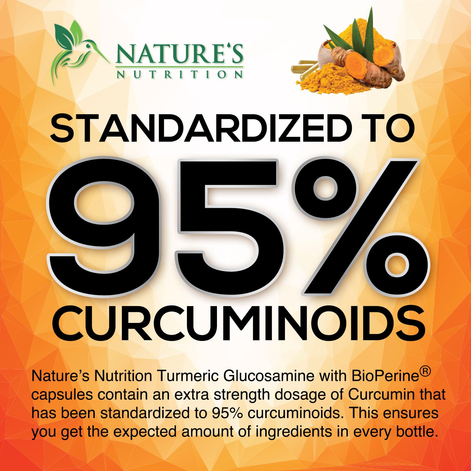 Nature's Nutrition Glucosamine-Chondroïtine – capsules, soutien articulaire quotidien