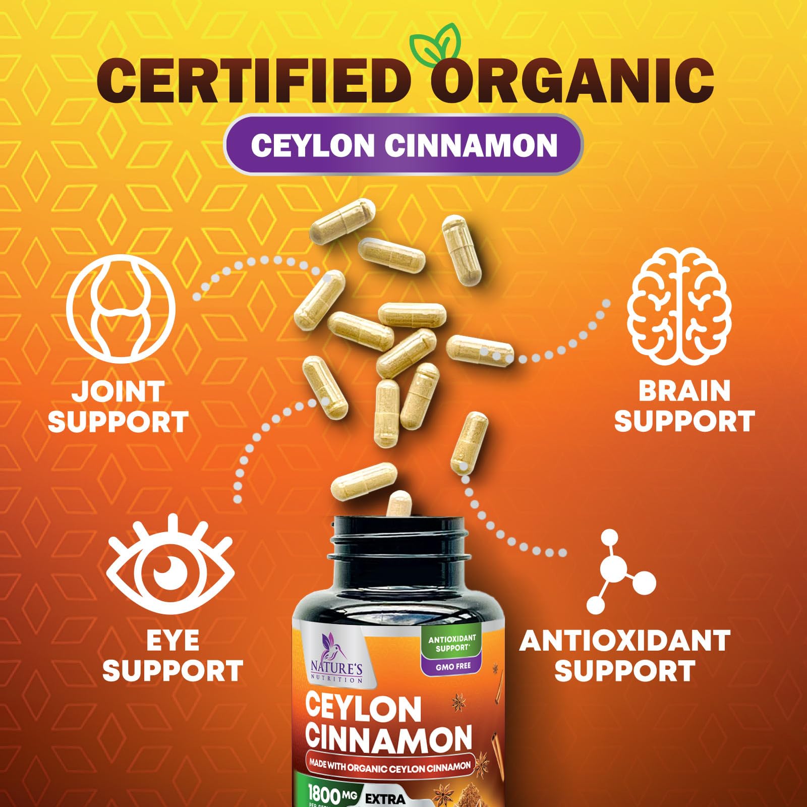 Capsules Nature's Nutrition Cannelle Ceylon, antioxydants potentiels pour le bien-être.