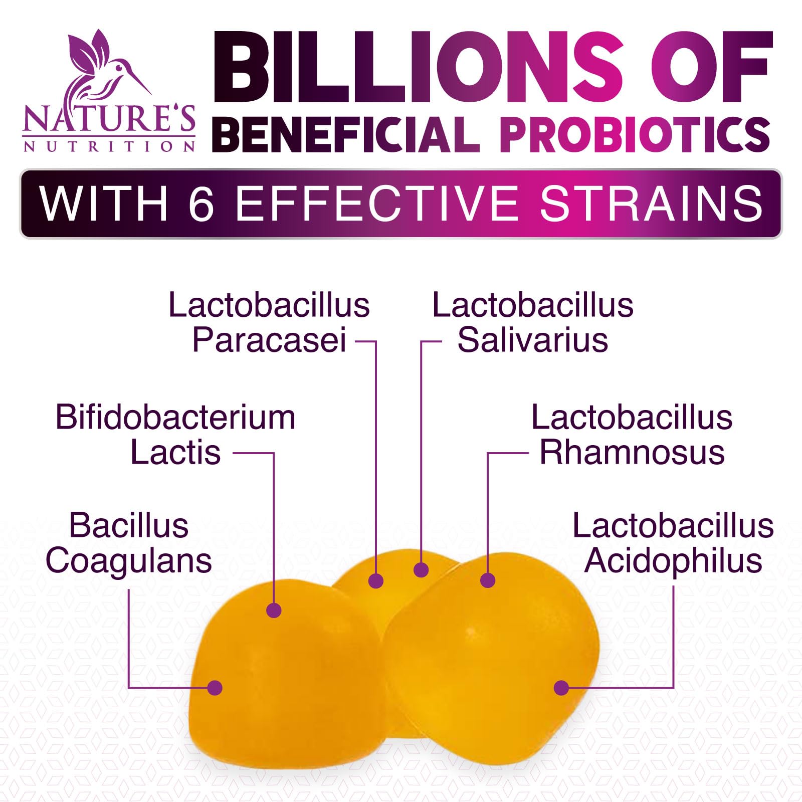 Nature's Nutrition dosage 5 milliards CFU par portion, facilité d’utilisation.