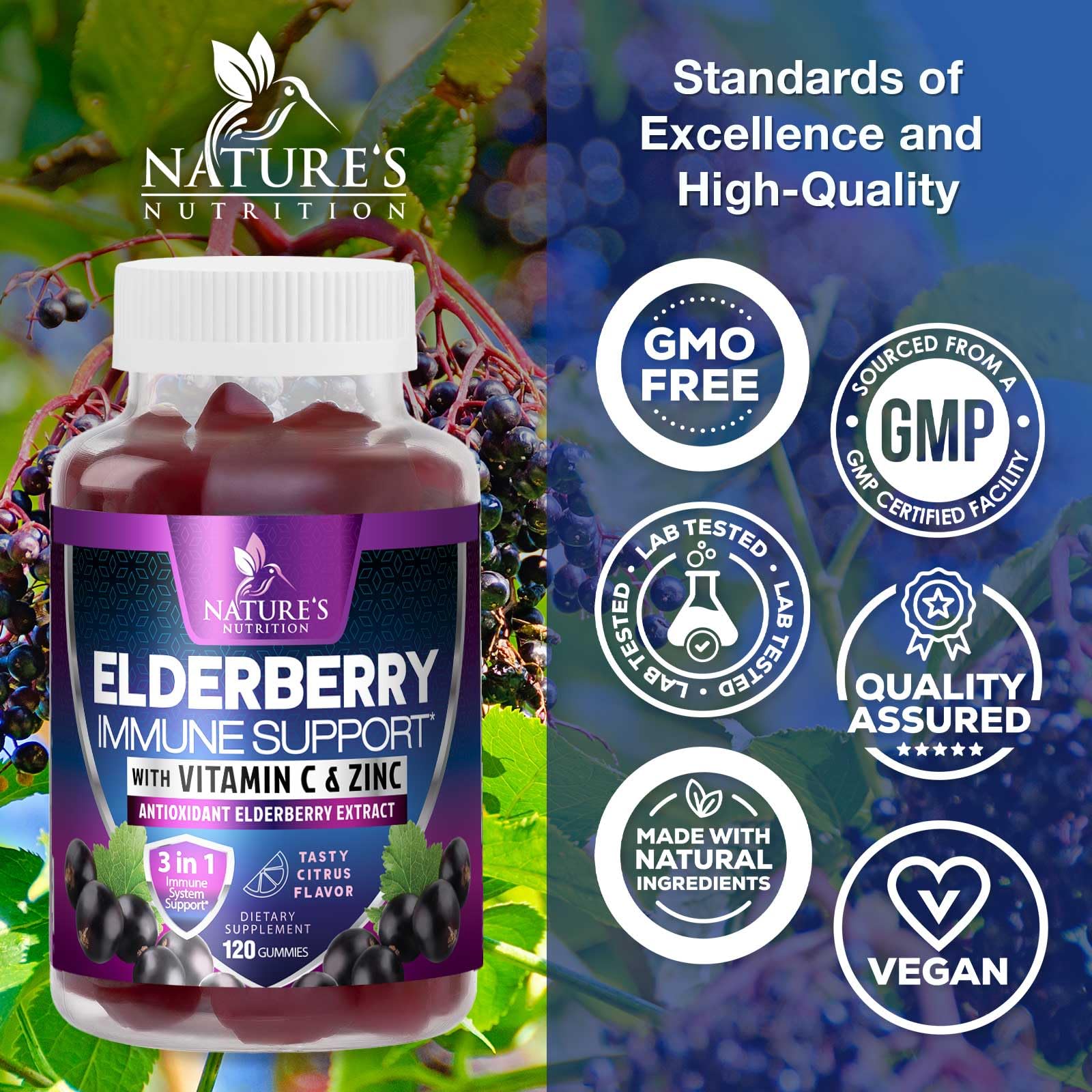 Nature's Nutrition Sureau Noir Gommes Zinc – étiquette et format pratique.