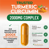 Nature's Nutrition Turmeric 2000mg — fiche nutritionnelle claire pour comparer les compléments.