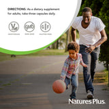 Utilisation quotidienne BrainCeutix — capsules faciles à intégrer à une routine matinale.