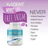 Nature's Stance XyliDENT tablettes vertes: stimulation de salive et sensation rafraîchissante.