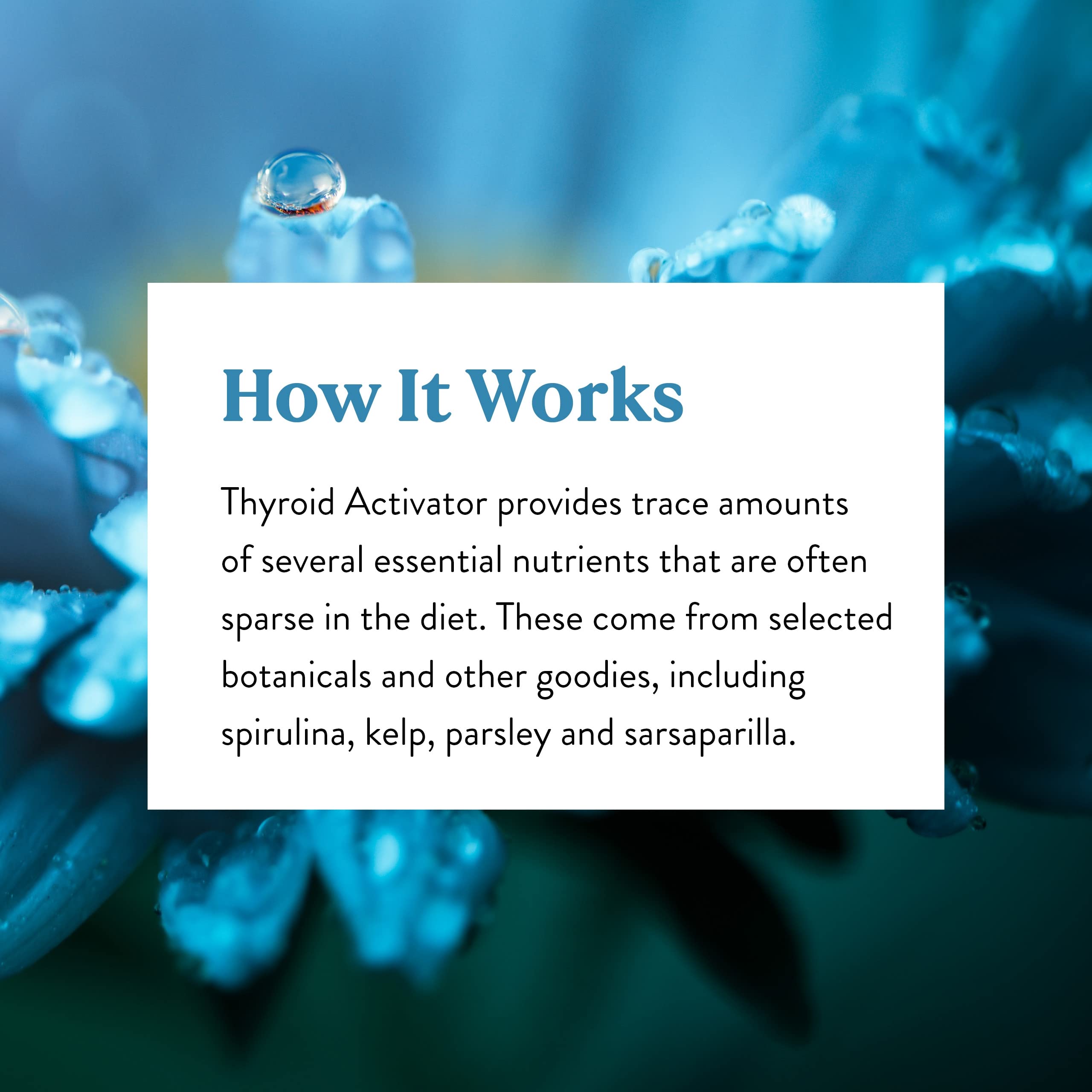 Nature's Sunshine Activateur Thyroïde - usage-quotidien: conseils simples pour intégrer la routine.