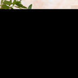 Gélules Ashwagandha Nature's Sunshine au premier plan, rituel de bien-être possible
