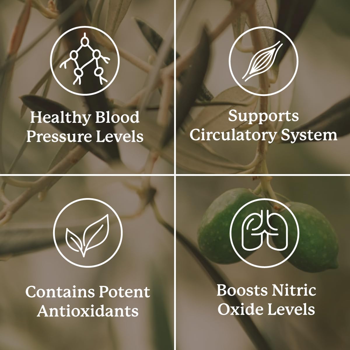 Nature's Sunshine Blood Pressurex, emballage pratique pour un stockage facile et une prise rapide.
