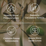 Nature's Sunshine Blood Pressurex, emballage pratique pour un stockage facile et une prise rapide.