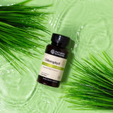 Nature's Sunshine Chlorophylle — capsules softgel faciles à avaler pour une routine pratique