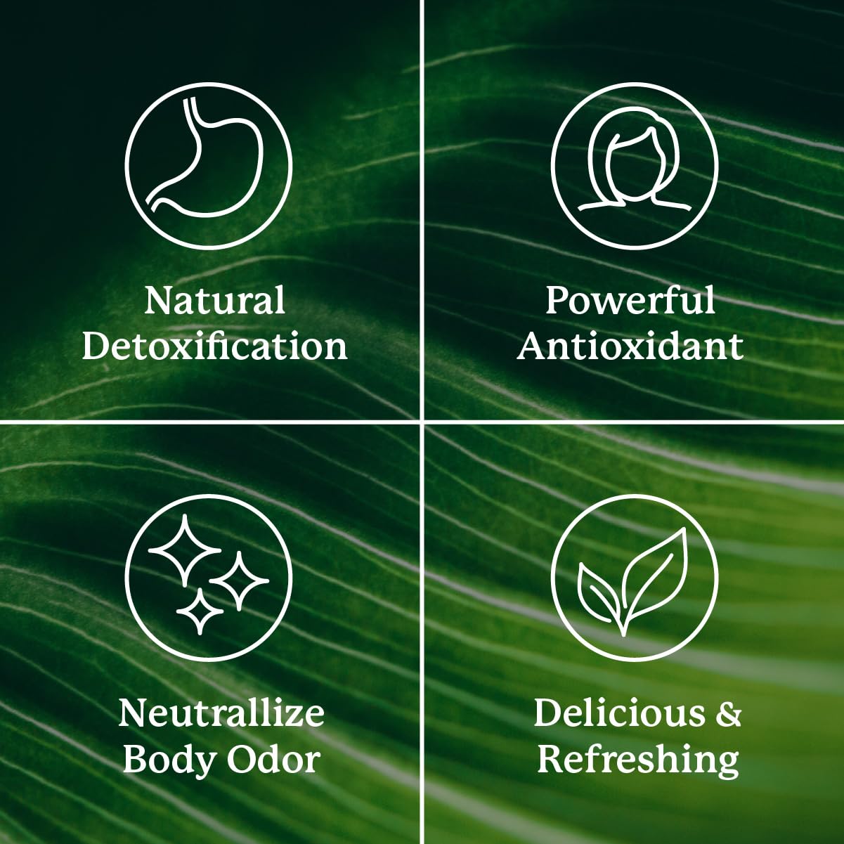 Nature's Sunshine Chlorophylle — aide potentielle à la detoxification naturelle