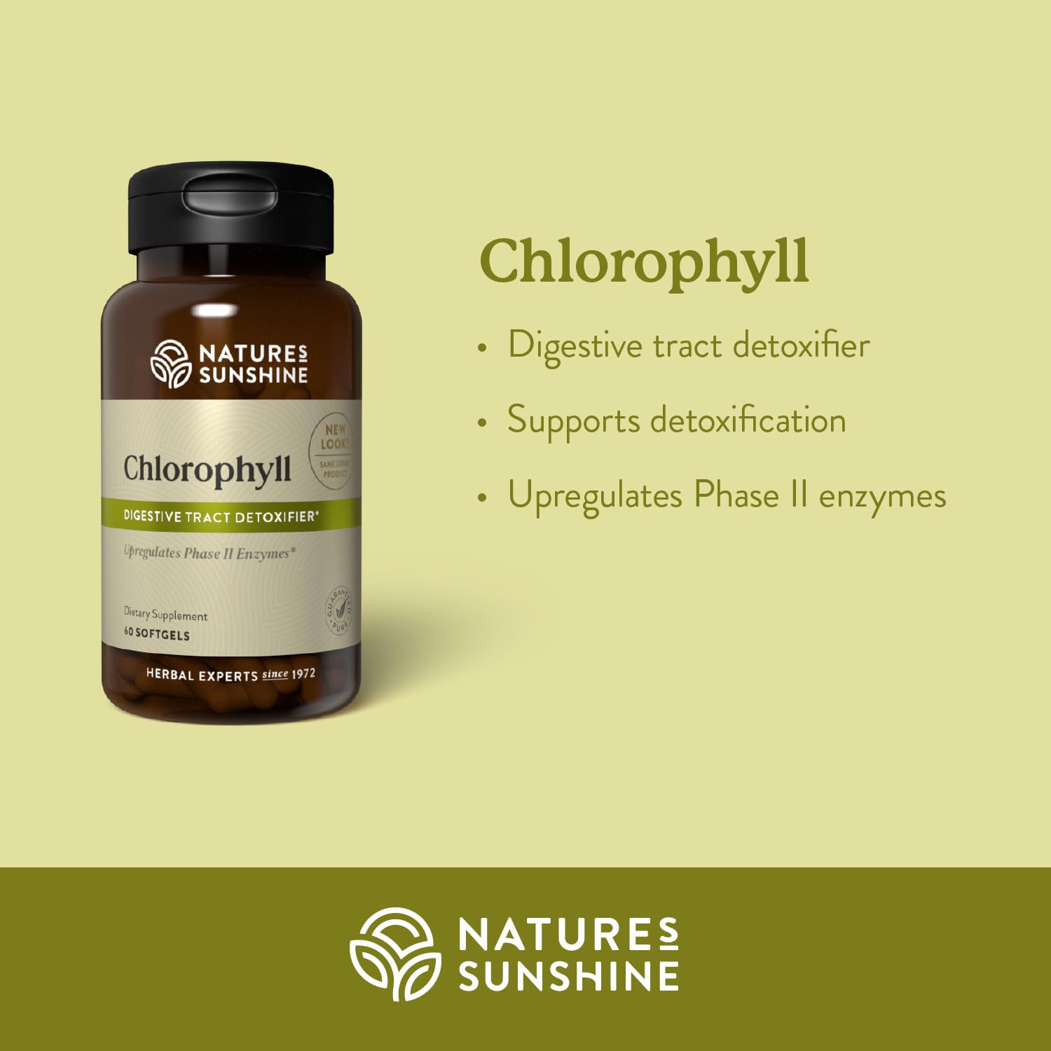 Nature's Sunshine Chlorophylle — capsules favorisant la digestion après les repas