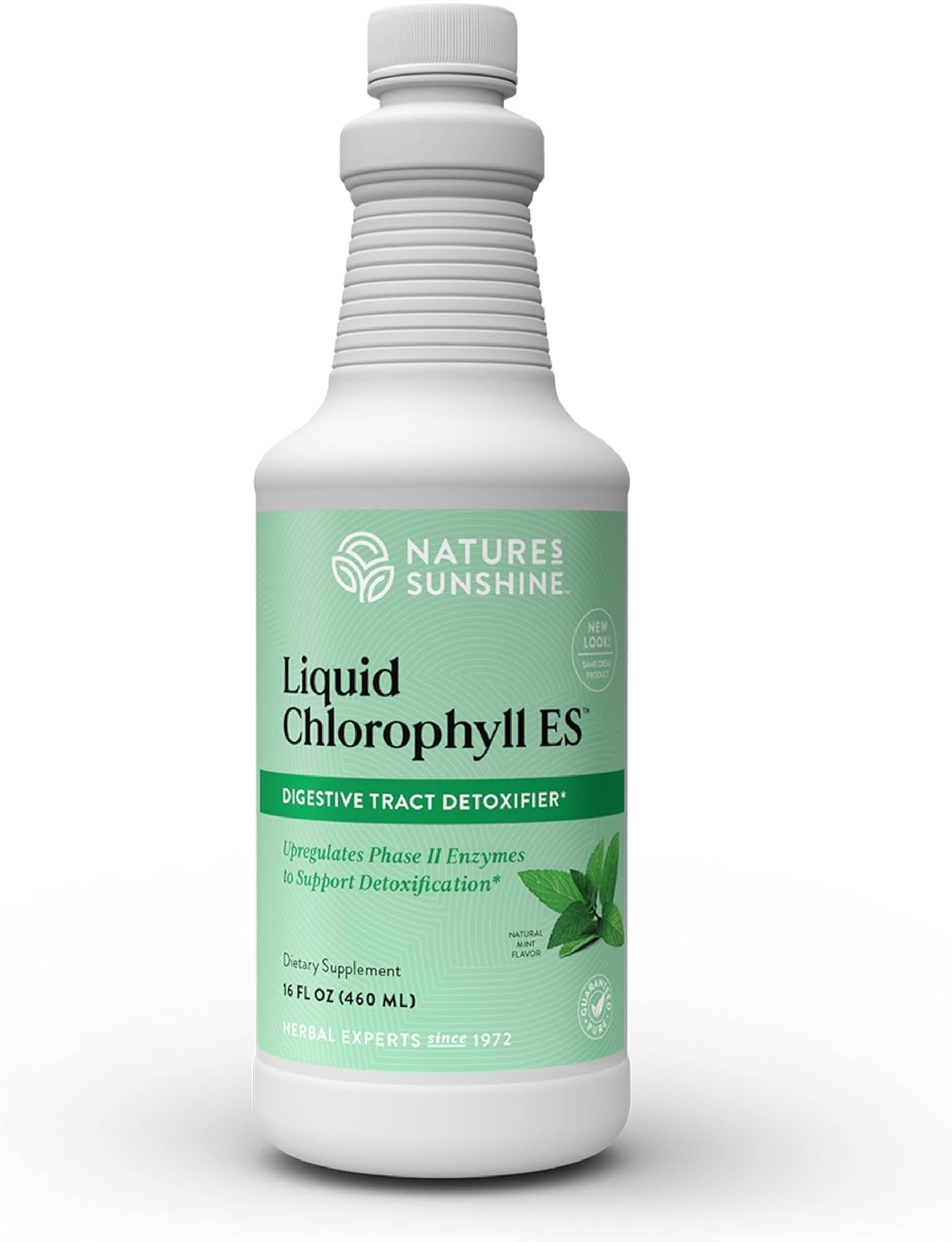 Nature's Sunshine chlorophylle liquide, bouteille facile à intégrer dans votre routine detox.