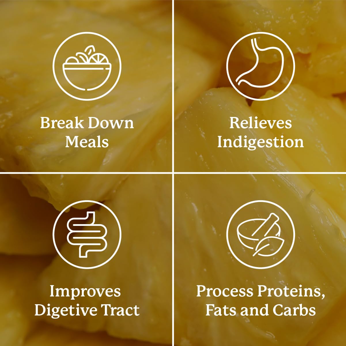 Nature's Sunshine – produit sans levure, gluten, soja et blé pour confort intestinal.