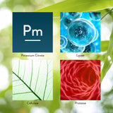 Capsules dans la paume, ingestion facile lors d'un repas riche en graisses.