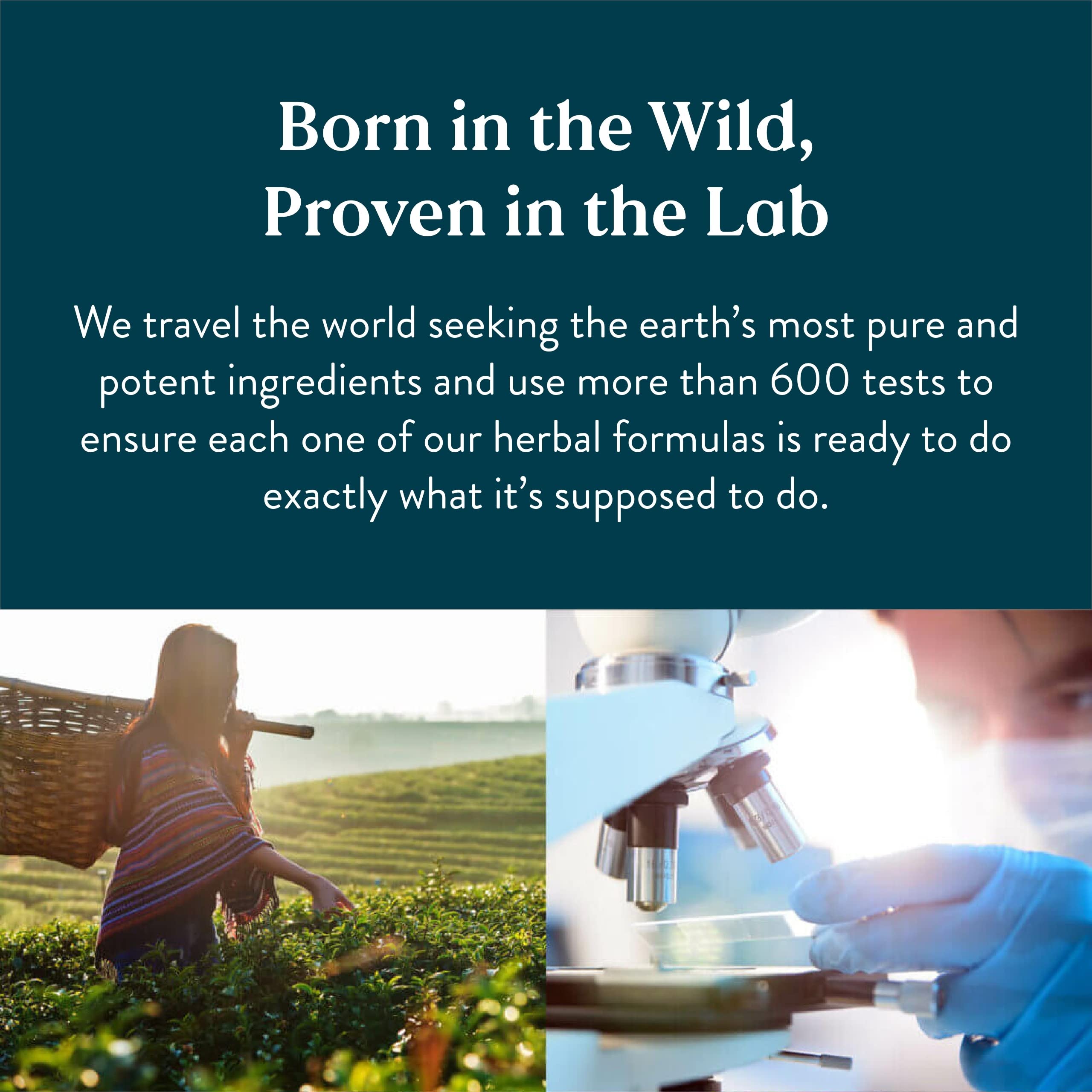 Hi-Lipase: capsules en gros plan favorisant la digestion des graisses.