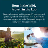 Hi-Lipase: capsules en gros plan favorisant la digestion des graisses.