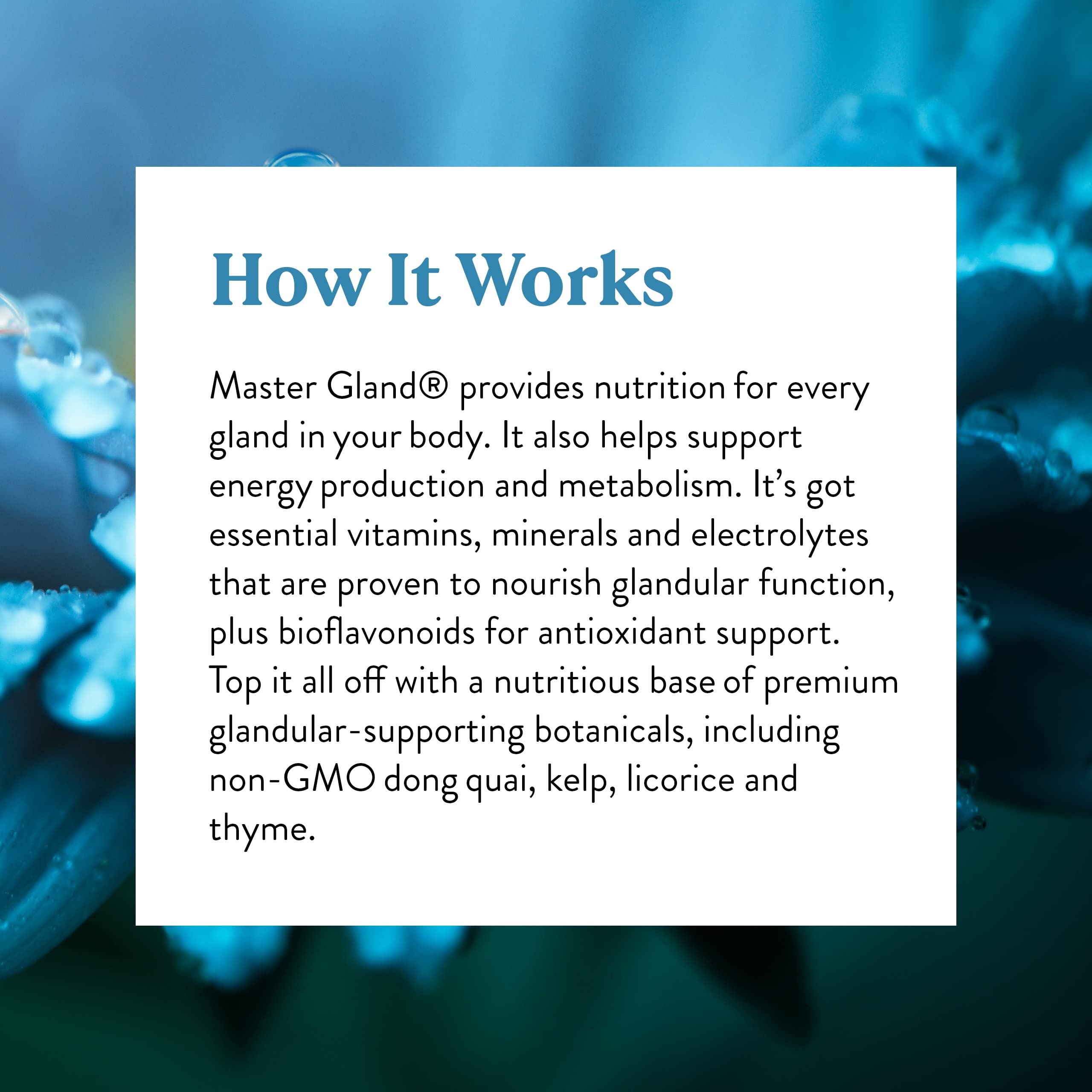 Nature's Sunshine Master Gland – Profil nutritionnel pur et qualité reconnue depuis 1972.