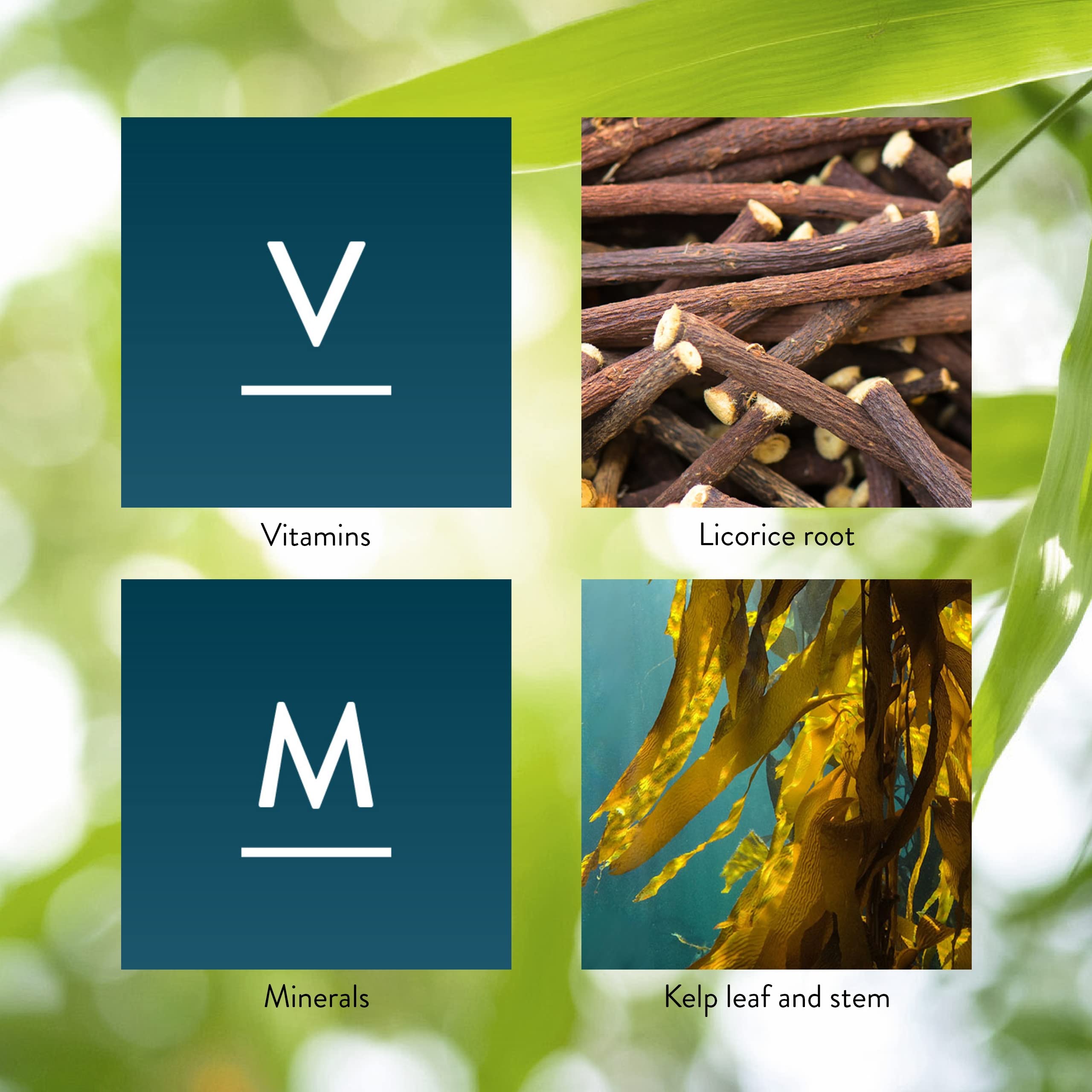 Nature's Sunshine Master Gland – Utilisation quotidienne avec repas pour une assimilation équilibrée.