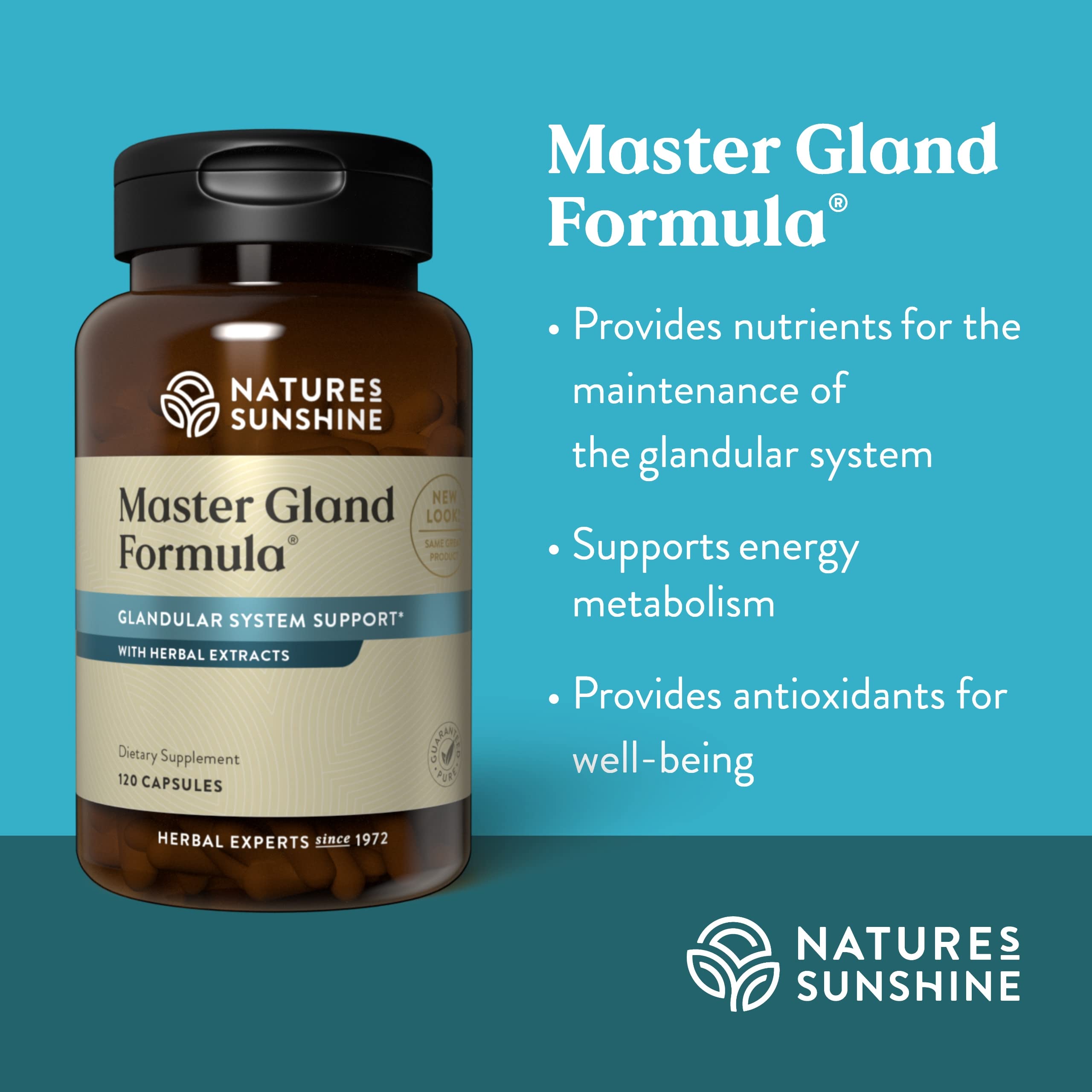 Nature's Sunshine Master Gland – Tableau des ingrédients clés et minéraux essentiels.
