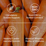 Nature's Sunshine Mega-Chel – Emballage informatif sur les tests et la pureté.