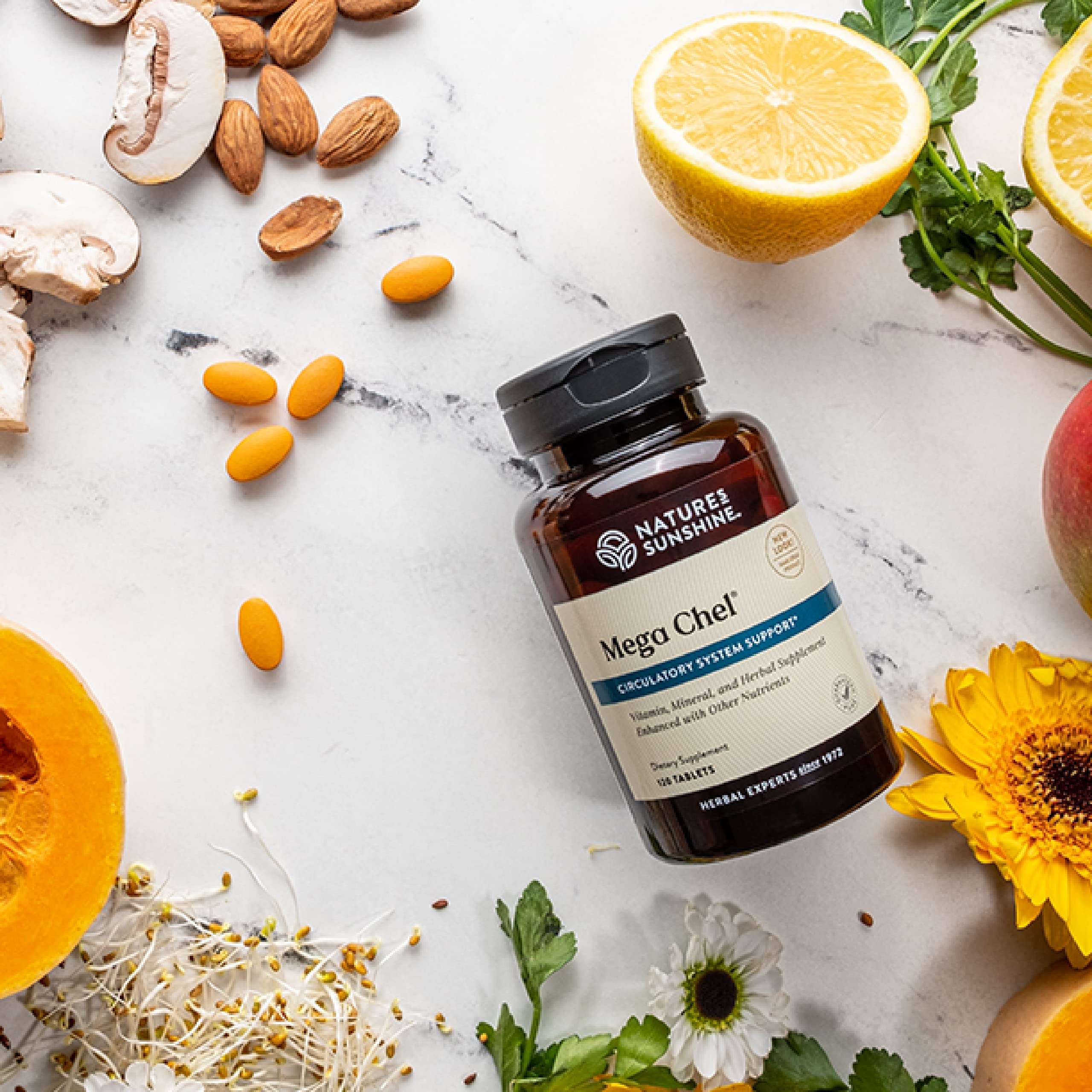 Nature's Sunshine Mega-Chel – Prise simple et pratique lors d'une pause.