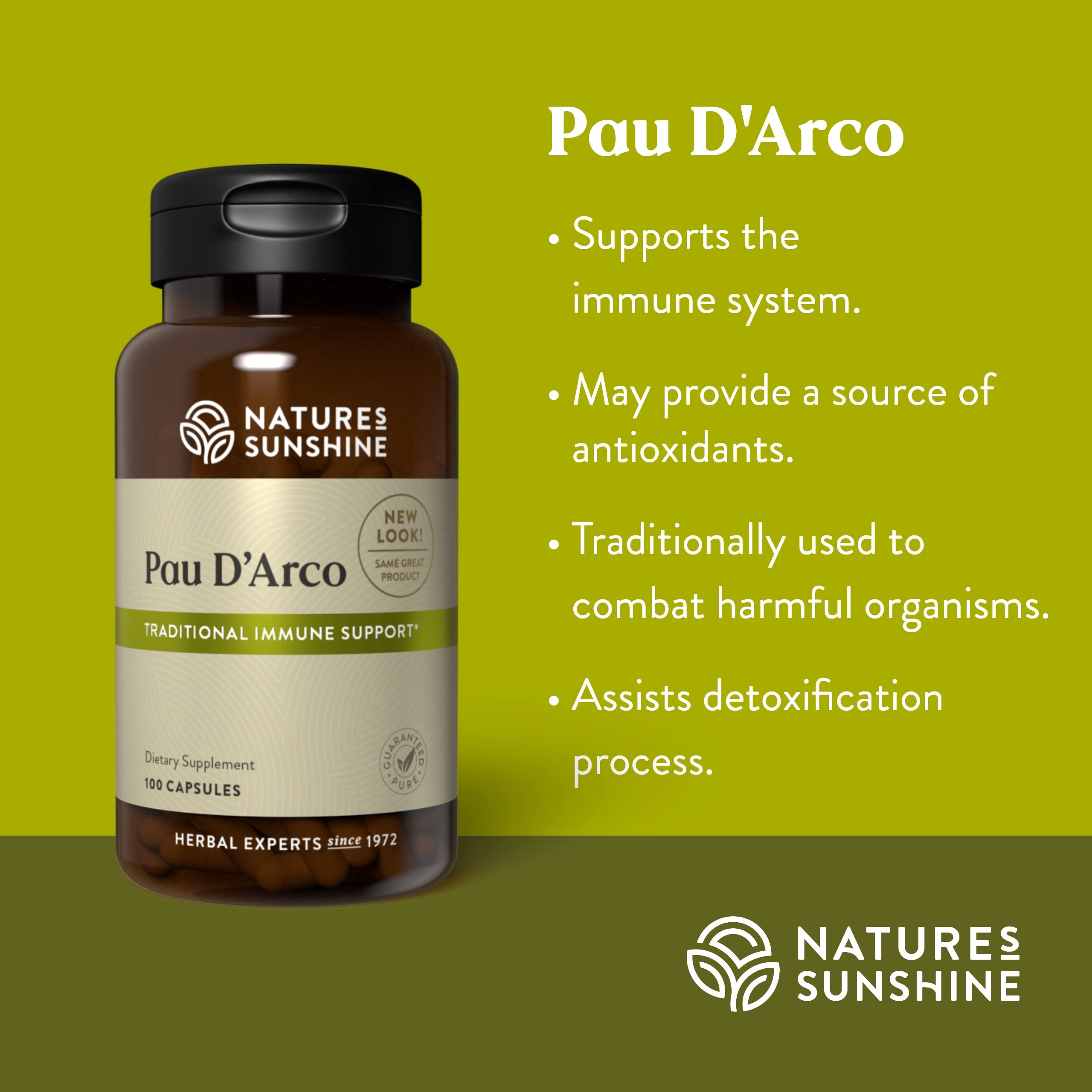 Prise quotidienne de Pau D'Arco en capsules pour une routine simple et pratique.
