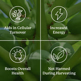 Nature's Sunshine Paw Paw Cell-Reg, emballage: approche durable et éthique.
