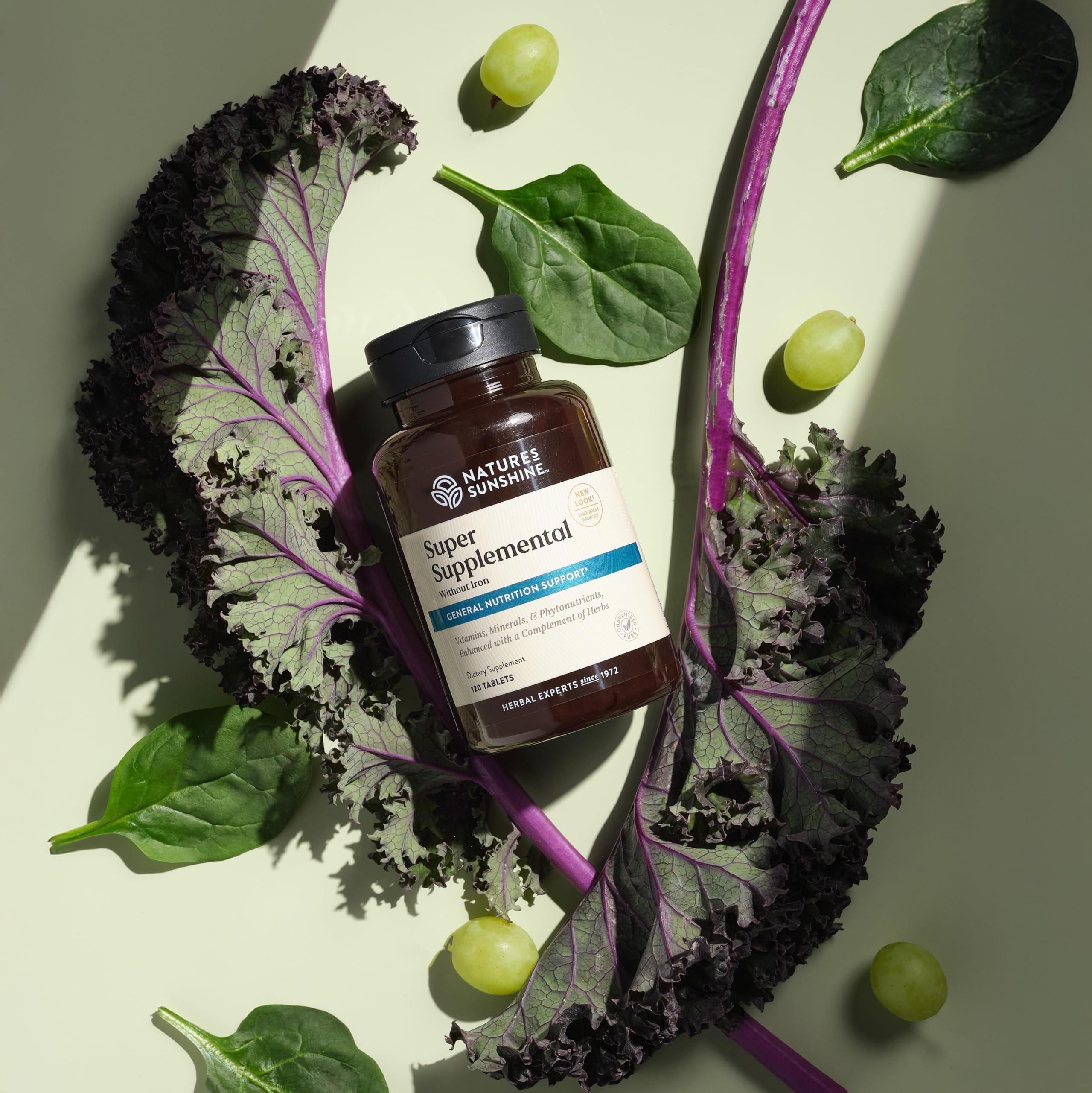 Nature's Sunshine Super Supplemental sans fer - aminoacides: éléments pour les protéines et l'énergie.