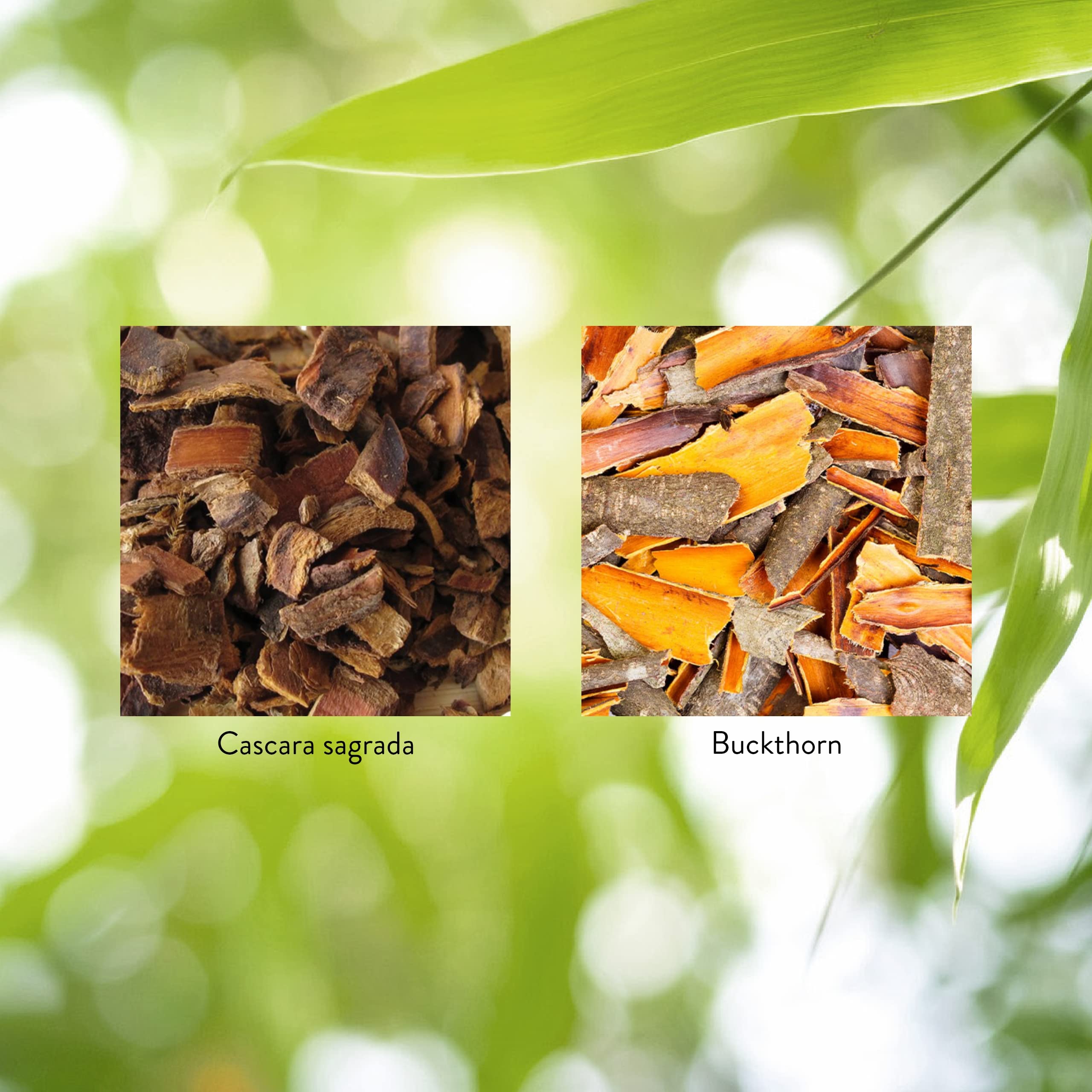 Nature's Sunshine Utilisation nocturne – prise facile avant le coucher.