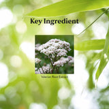 Nature's Sunshine valeriane - etiquette-produit claire indiquant les bienfaits sans addictifs.