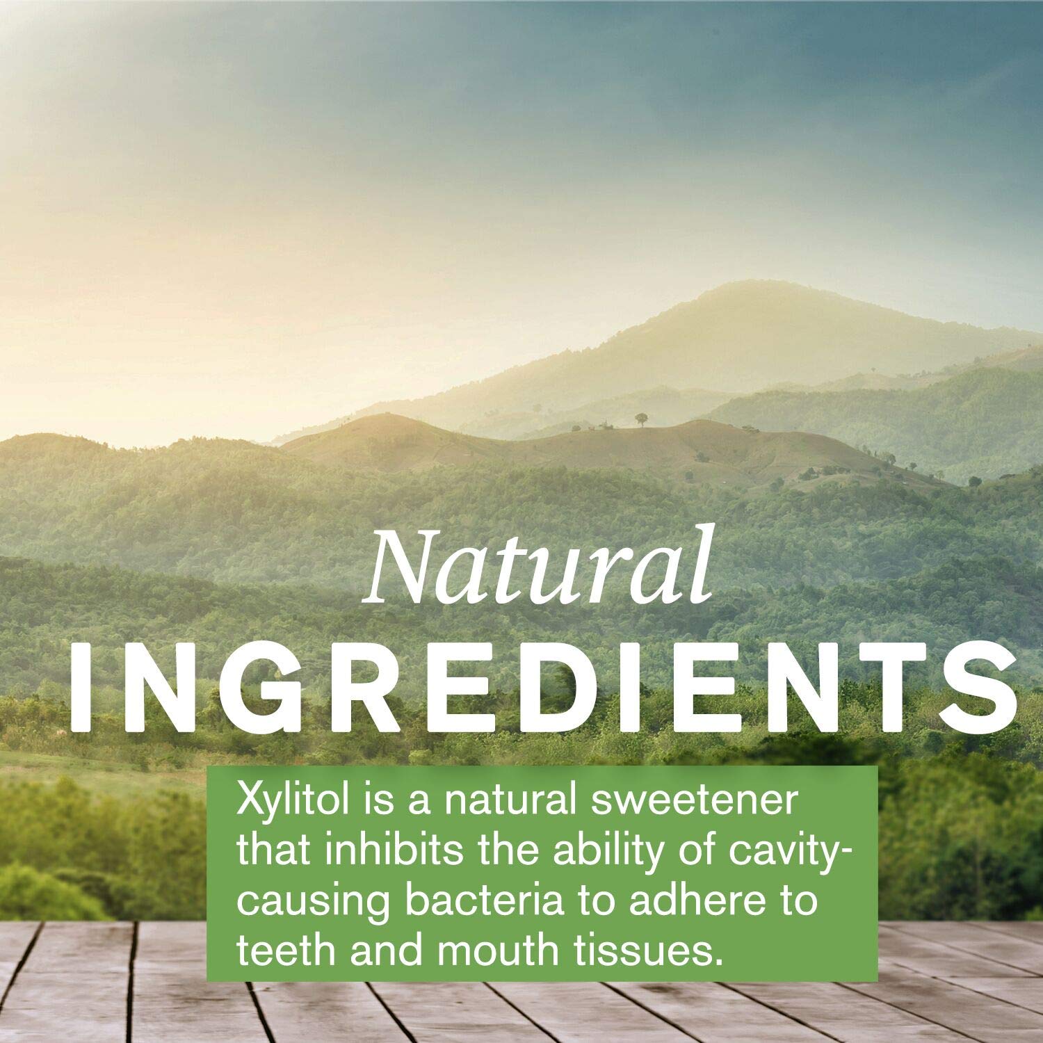 Nature's Sunshine XyliBrite - arôme menthe fraiche, expérience dentifrice agréable