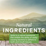 Nature's Sunshine XyliBrite - arôme menthe fraiche, expérience dentifrice agréable