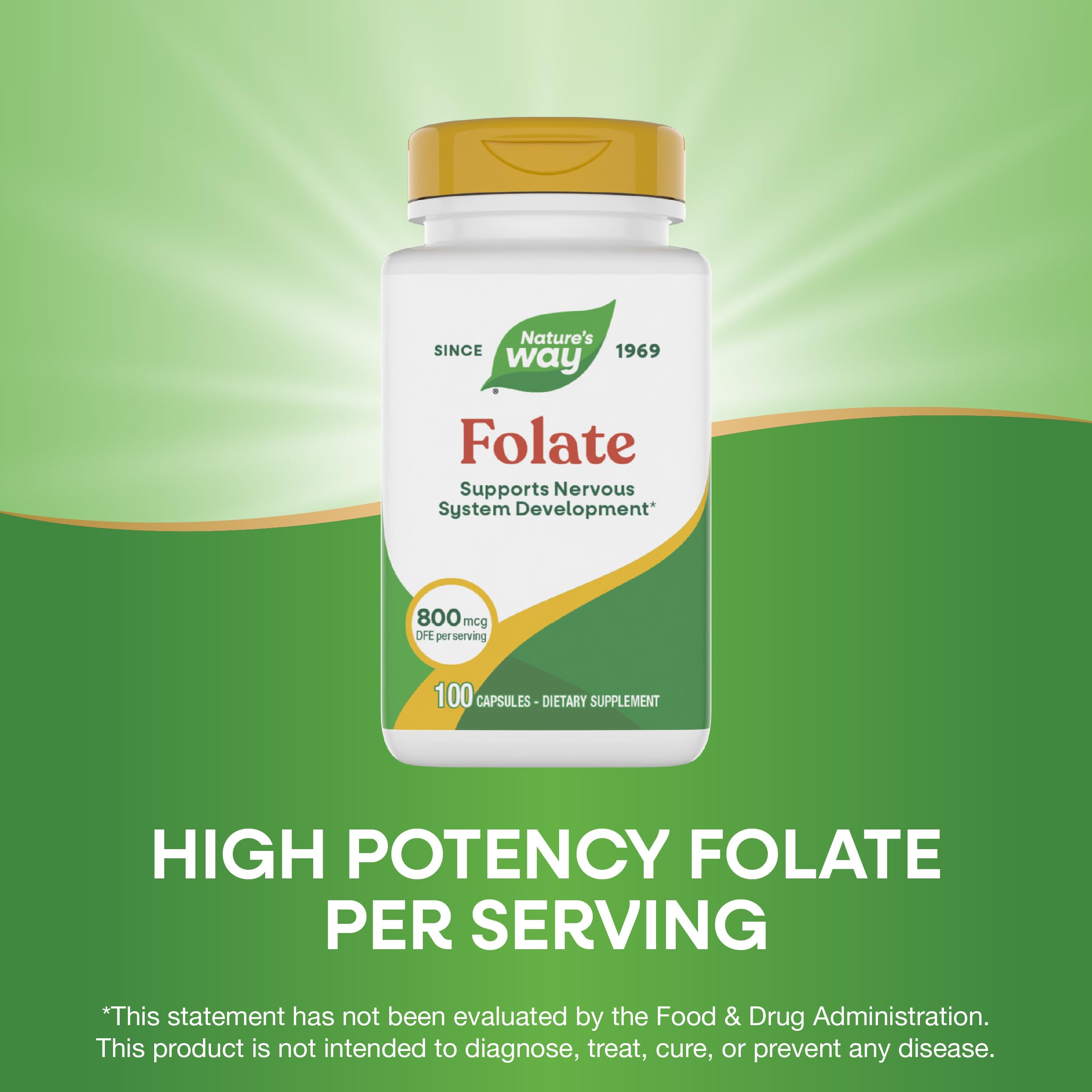 Nature's Way acide folique fiche nutrition, informations claires.