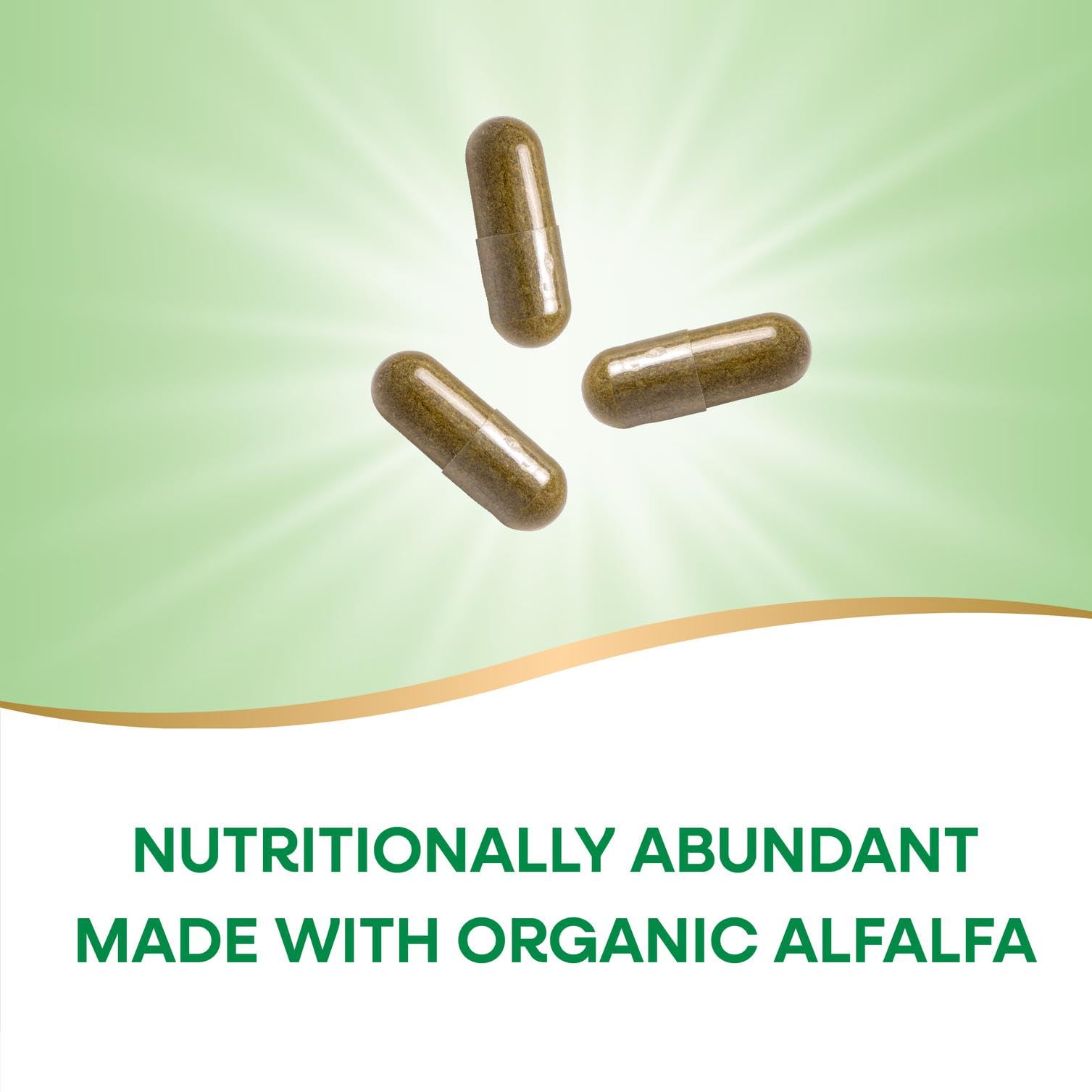 Nature's Way Alfalfa – emballage sans gluten adapté à certains régimes.
