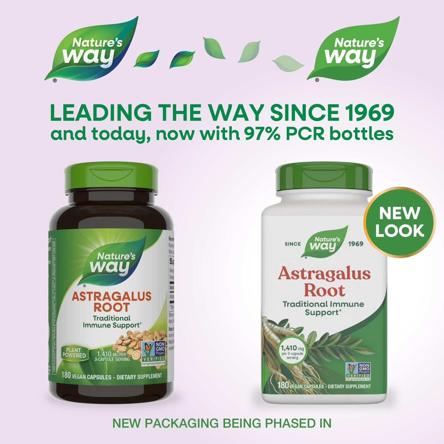 Nature's Way Astragalus racine – étiquette claire et information Non-OGM.