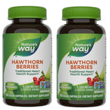 Nature's Way baies d'aubépine sur bouteille pour usage quotidien potentiel.