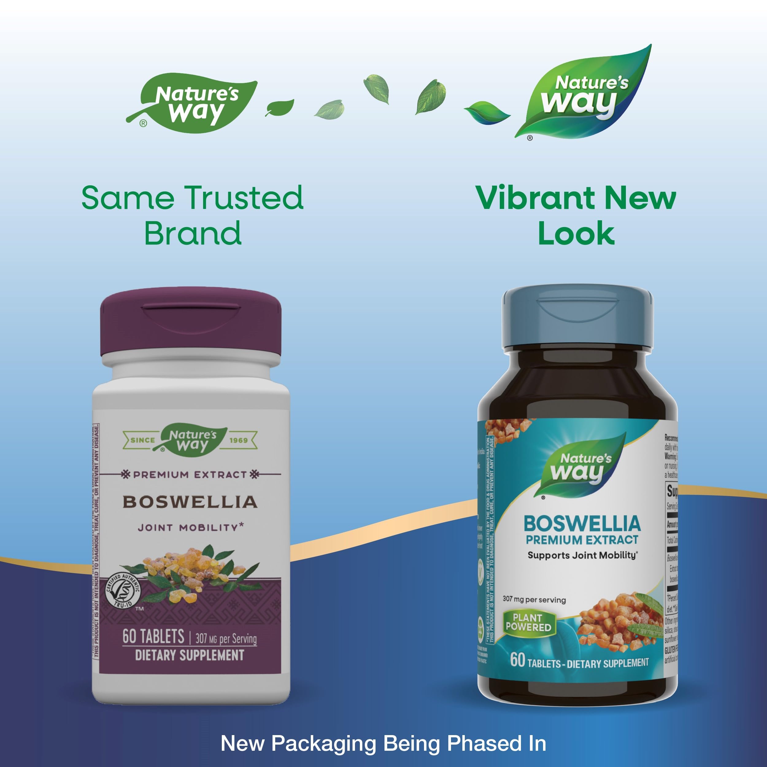 Nature's Way Boswellia – étiquette indiquant 307 mg par portion et vegan sans gluten.
