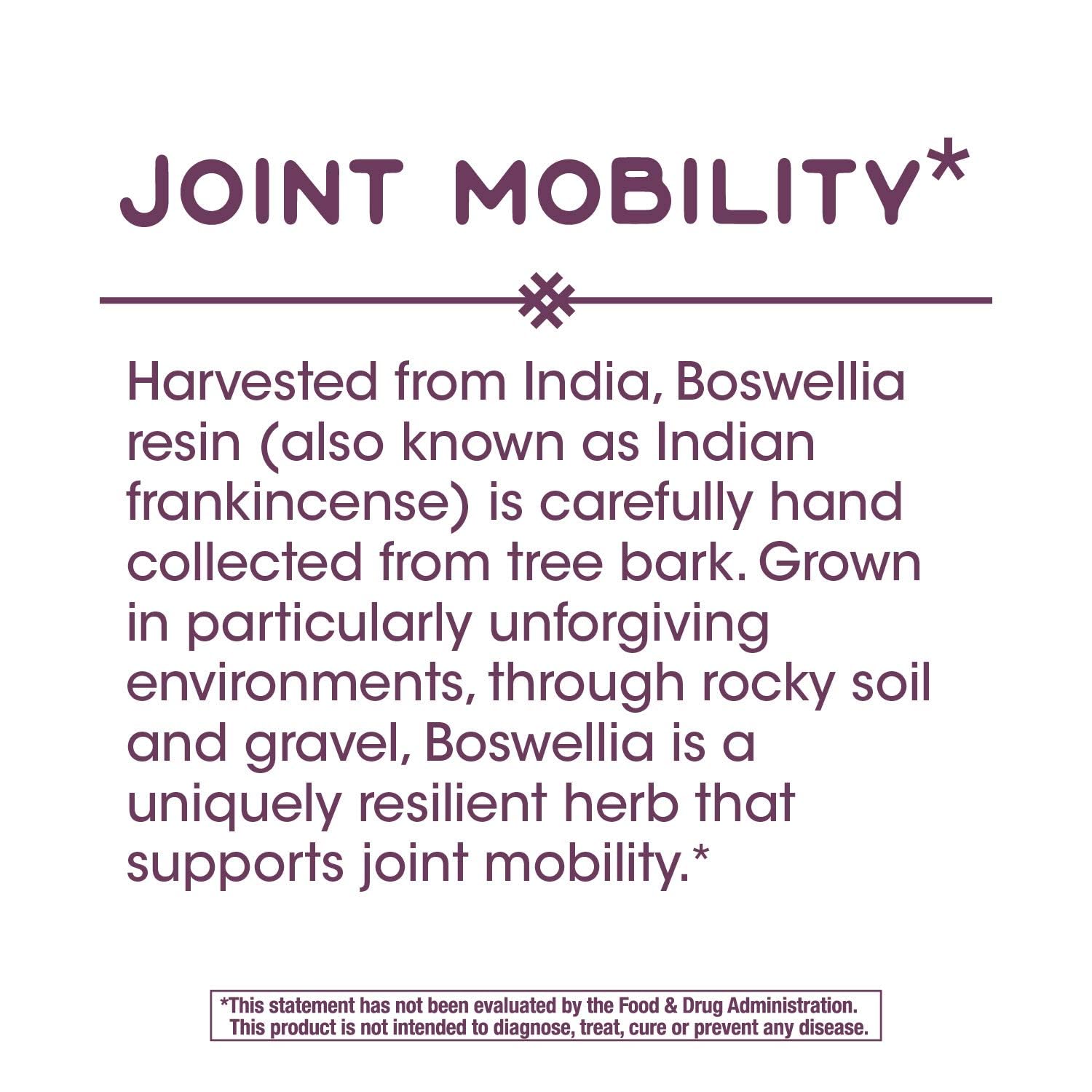 Nature's Way Boswellia Premium Extract – etiquettes visibles, standardisation 65% d'acides boswelliques.