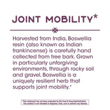 Nature's Way Boswellia Premium Extract – etiquettes visibles, standardisation 65% d'acides boswelliques.
