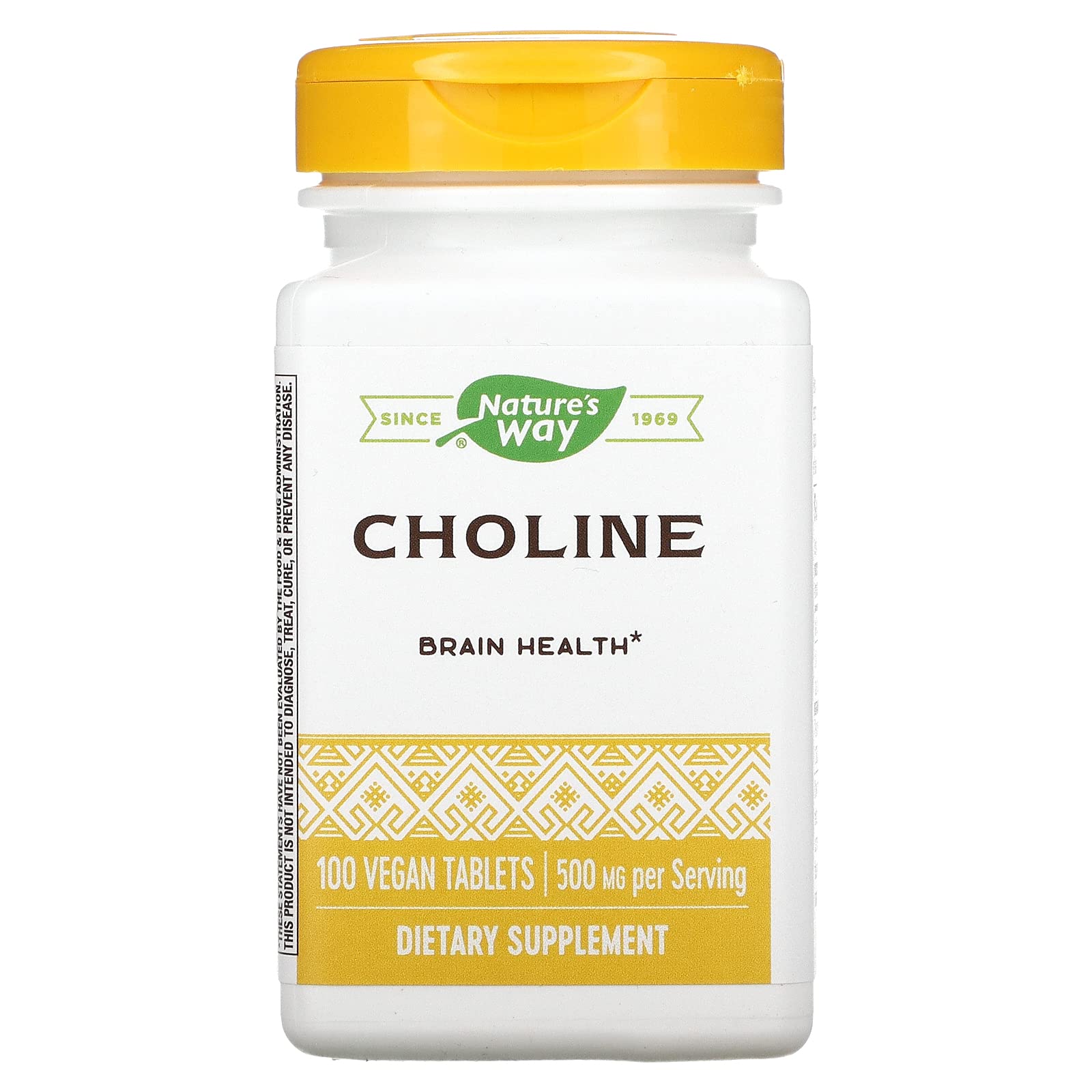 Nature's Way Choline 500 mg: bouteille pratique pour le dosage quotidien et le maintien du fonctionnement cellulaire