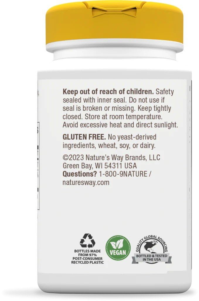 Nature's Way Choline 500 mg – Tablettes blanches adaptées à un régime végétarien sans gluten