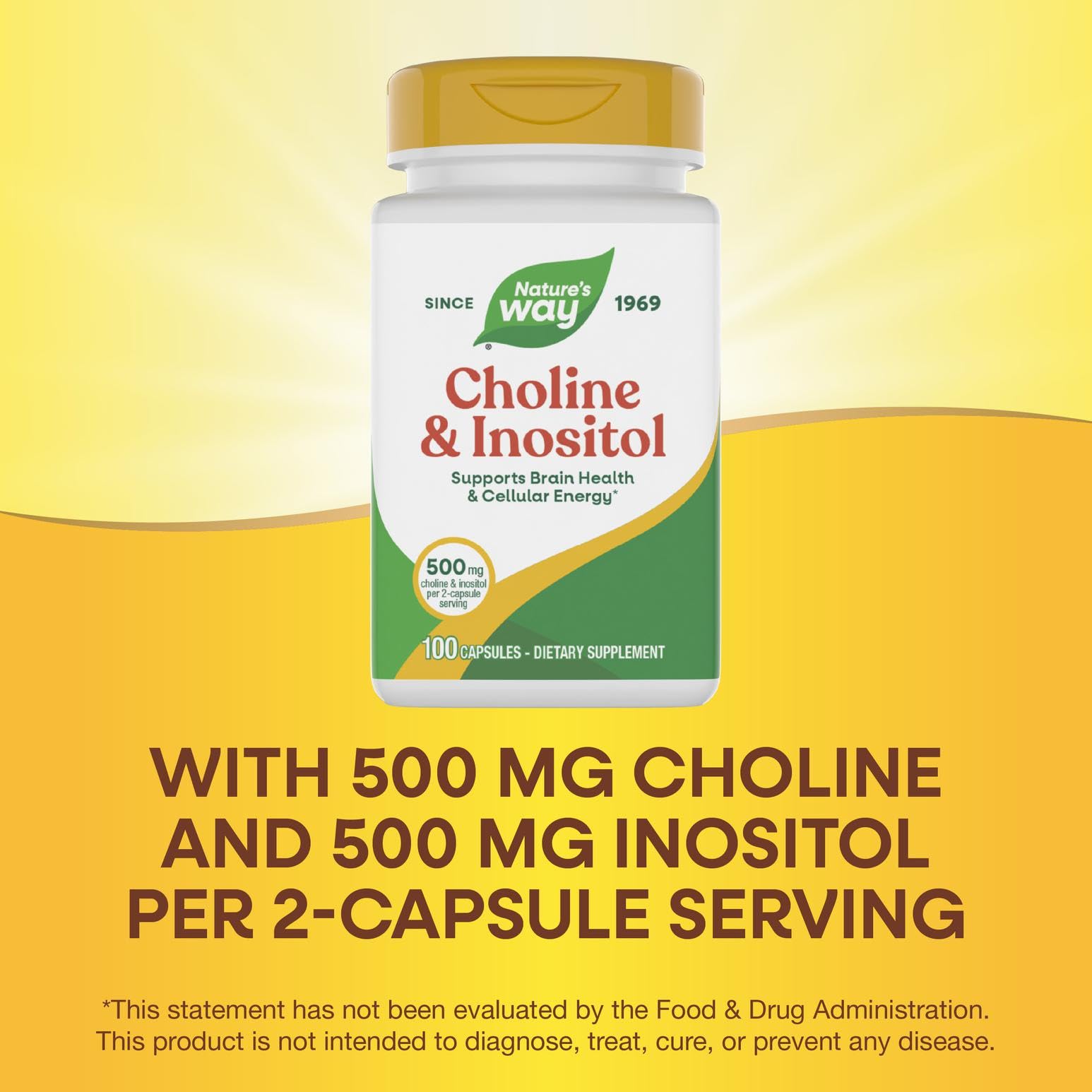 Nature's Way Choline & Inositol – boîte emballage, sans gluten et sans colorants.