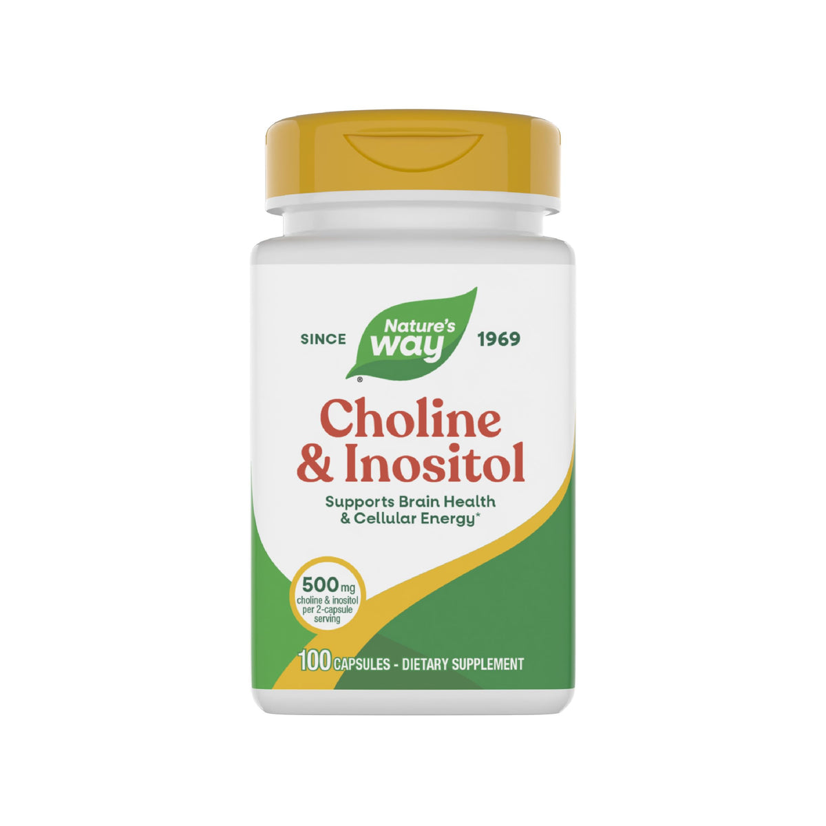 Nature's Way Choline & Inositol – bouteille en gros plan, soutien potentiel cérébral.
