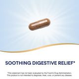 Nature's Way DGL Ultra – dose de 75 mg par capsule