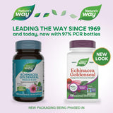 Nature's Way Echinacea Goldenseal - flacon de 100 gélules avec dosage 900 mg par portion